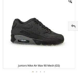Grey Nike Air Max 90 Mesh (GS)
